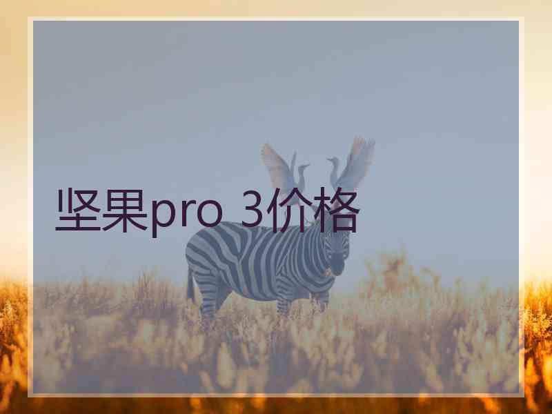 坚果pro 3价格