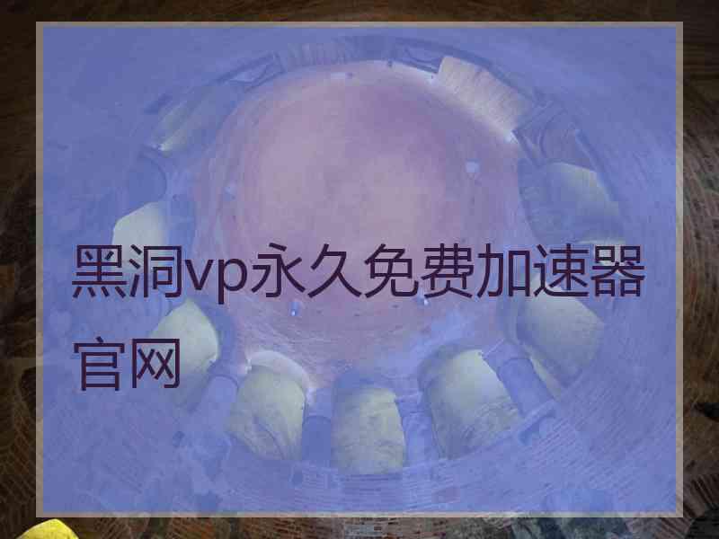 黑洞vp永久免费加速器官网