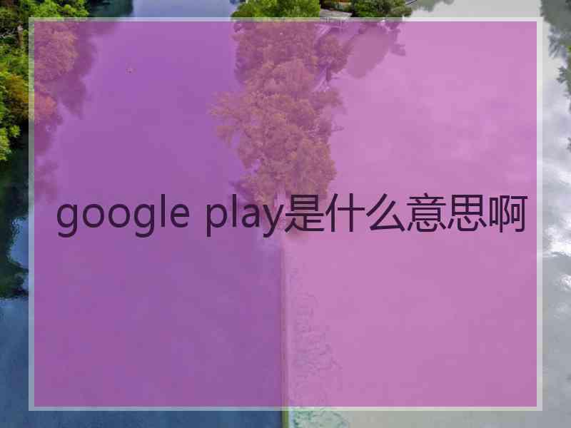 google play是什么意思啊