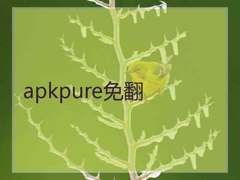 apkpure免翻