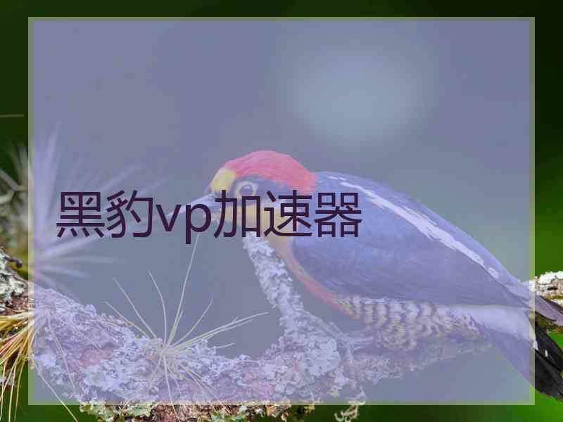 黑豹vp加速器