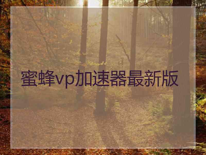 蜜蜂vp加速器最新版