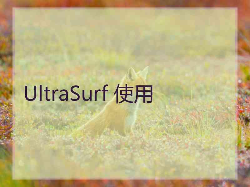 UltraSurf 使用