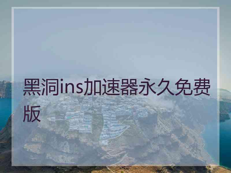 黑洞ins加速器永久免费版