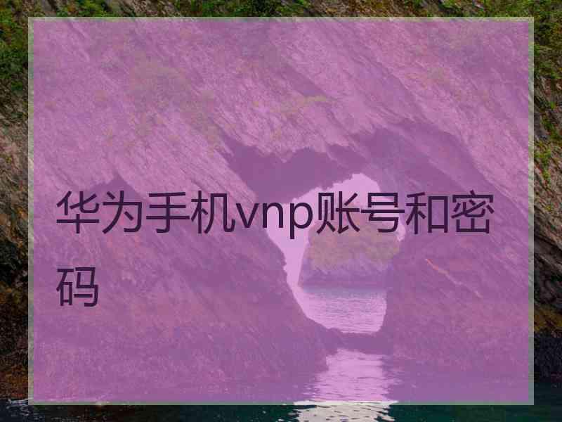 华为手机vnp账号和密码