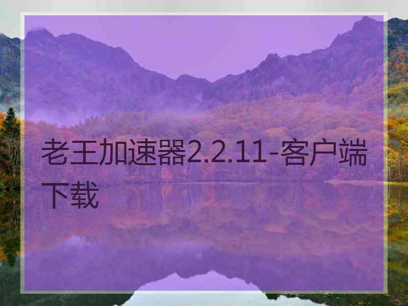 老王加速器2.2.11-客户端下载