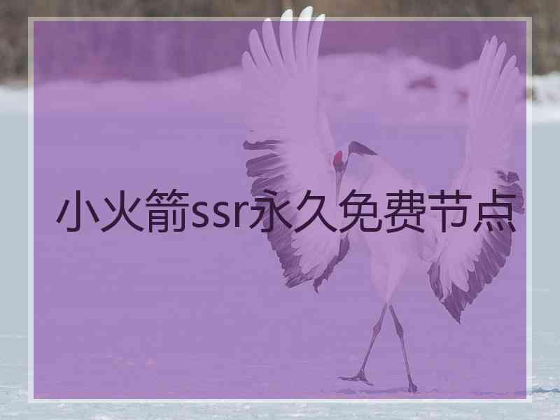 小火箭ssr永久免费节点