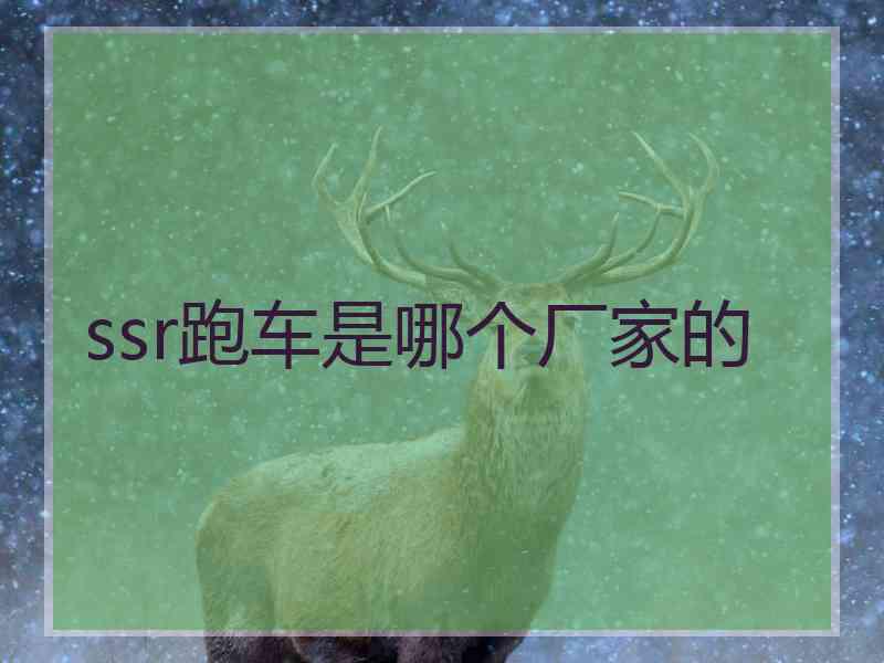 ssr跑车是哪个厂家的