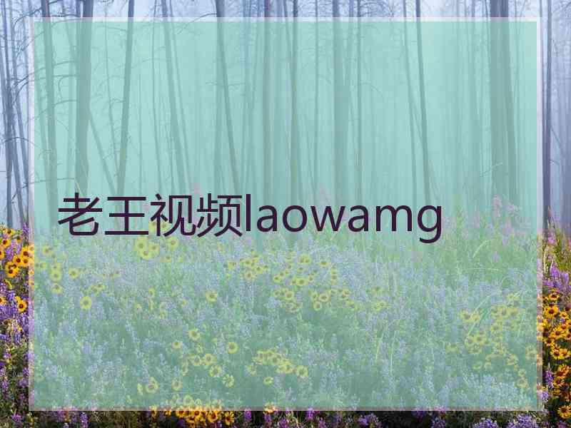 老王视频laowamg