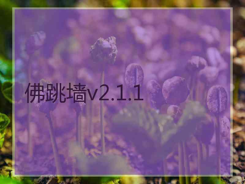 佛跳墙v2.1.1