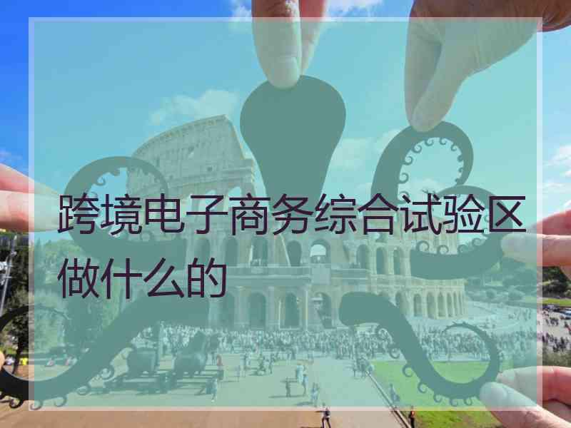 跨境电子商务综合试验区做什么的