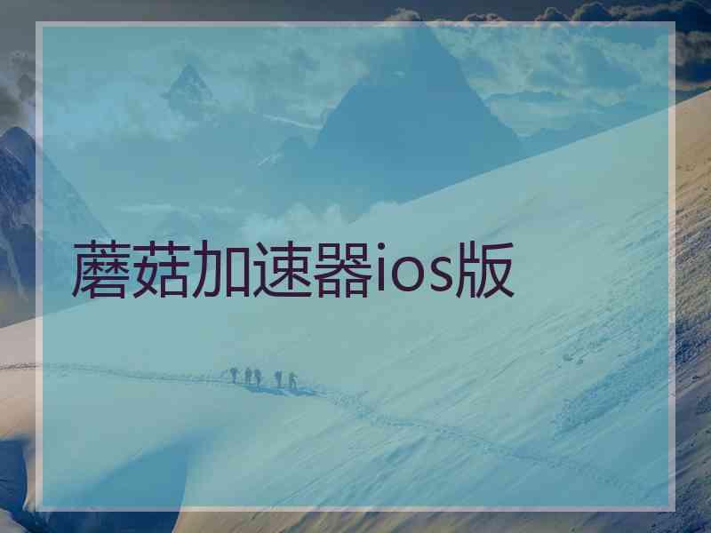 蘑菇加速器ios版