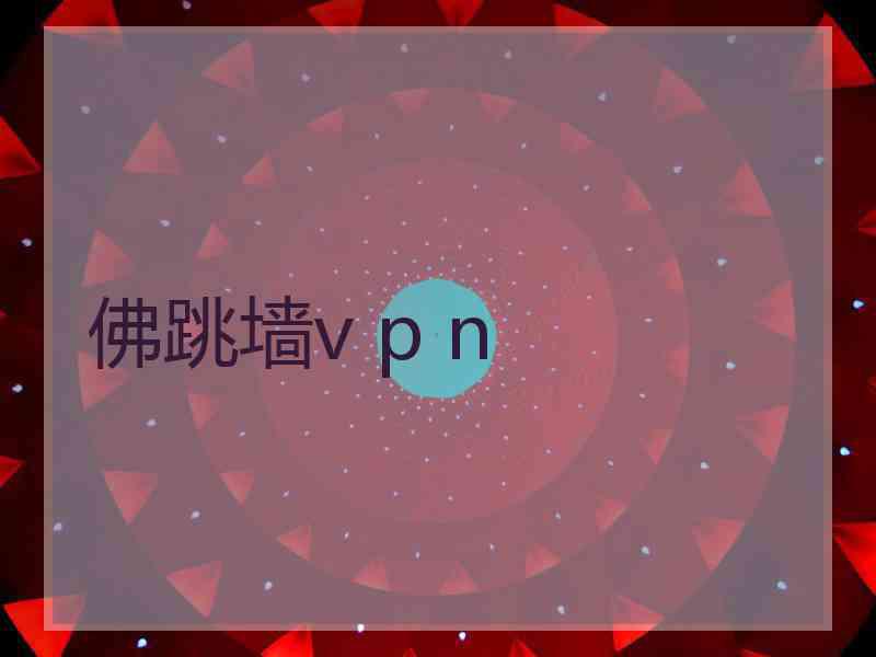 佛跳墙v p n