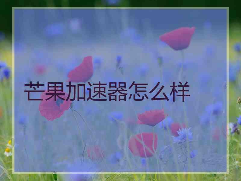 芒果加速器怎么样