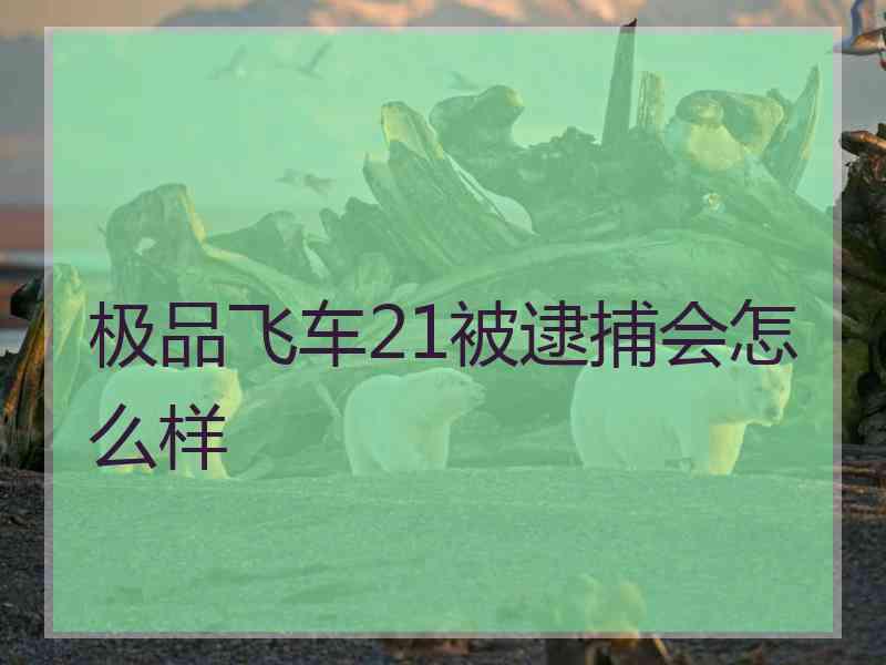 极品飞车21被逮捕会怎么样
