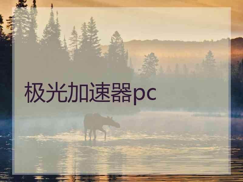 极光加速器pc