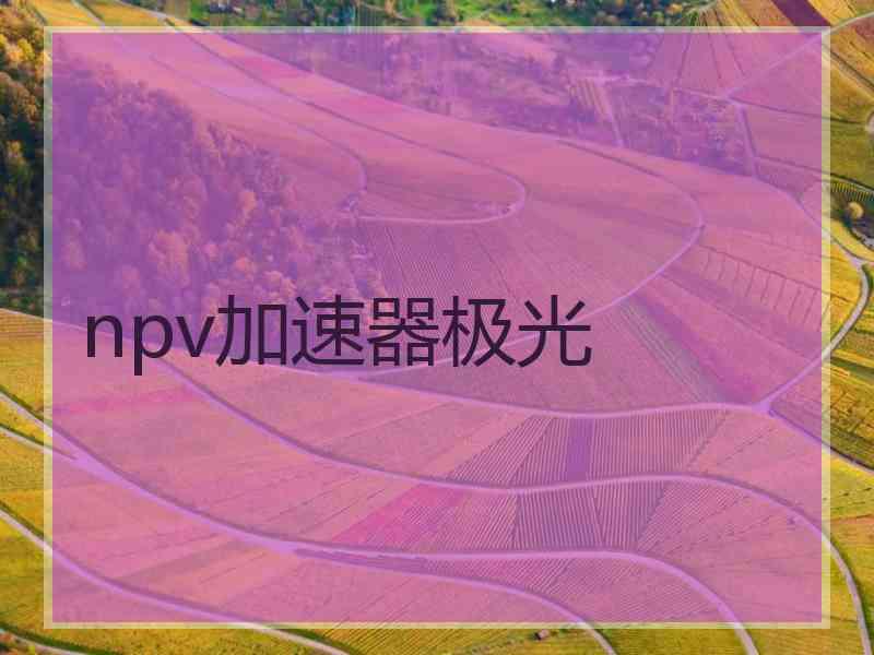 npv加速器极光