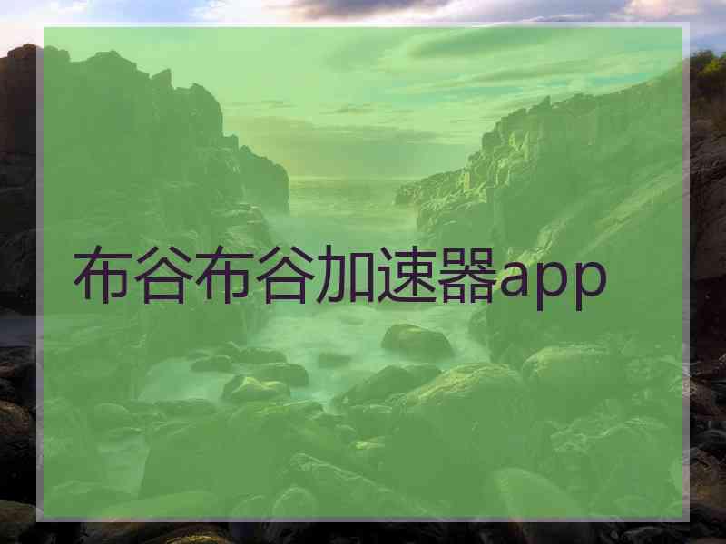 布谷布谷加速器app