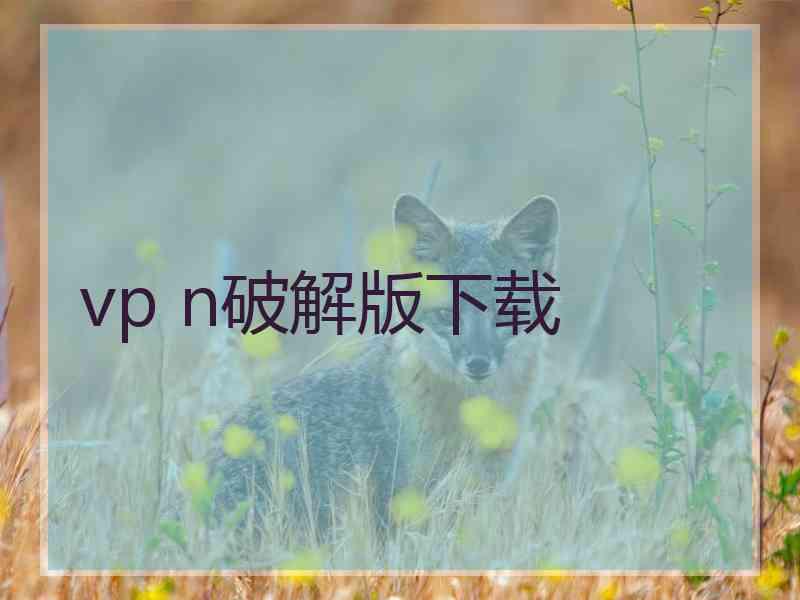 vp n破解版下载