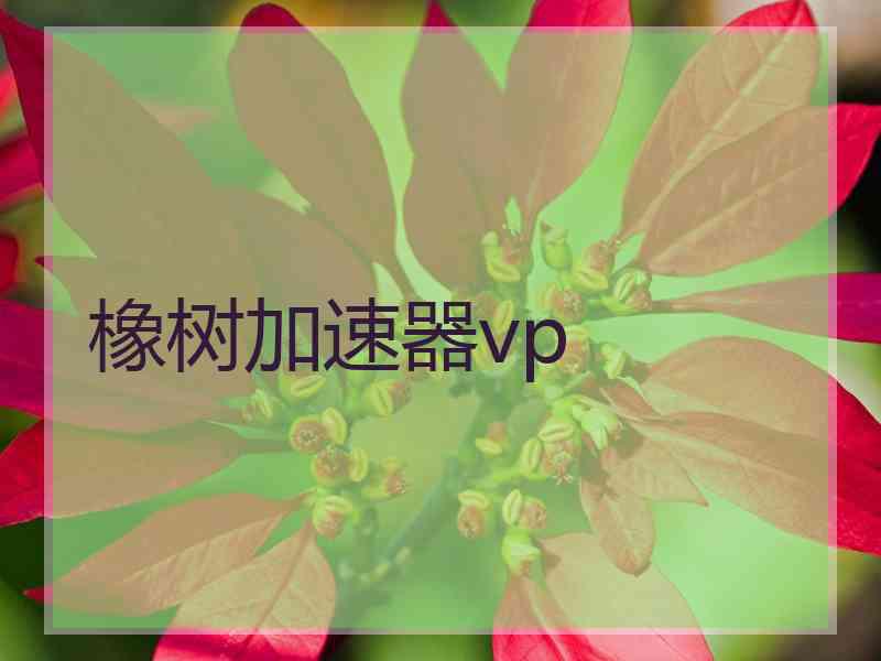 橡树加速器vp