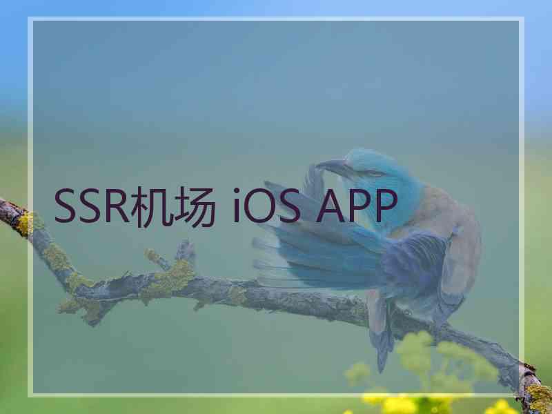 SSR机场 iOS APP