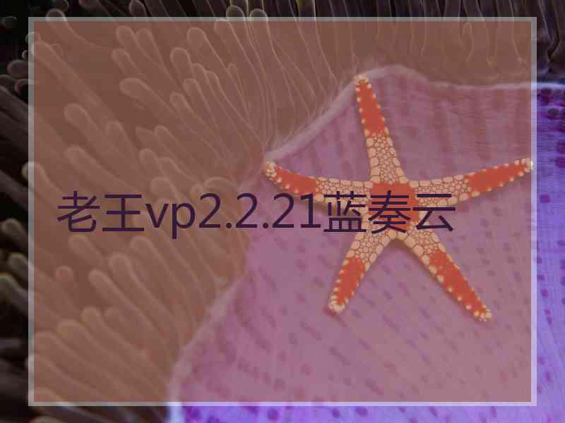 老王vp2.2.21蓝奏云