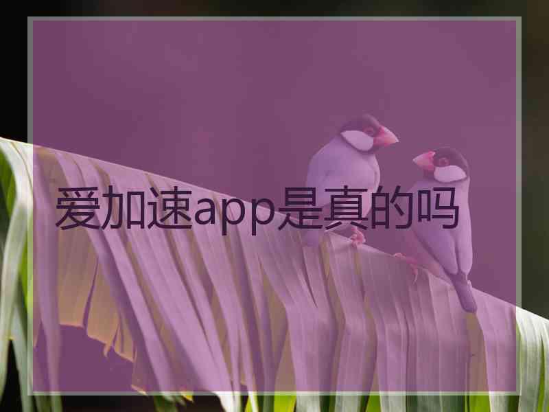 爱加速app是真的吗