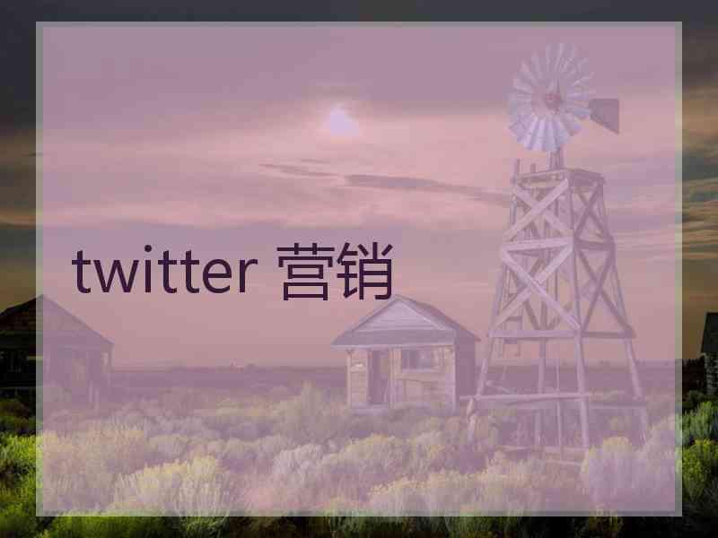 twitter 营销