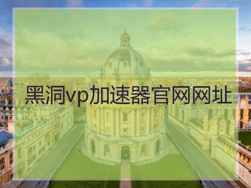 黑洞vp加速器官网网址