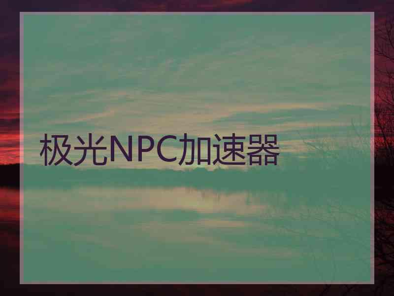 极光NPC加速器