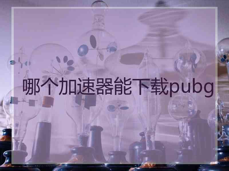 哪个加速器能下载pubg