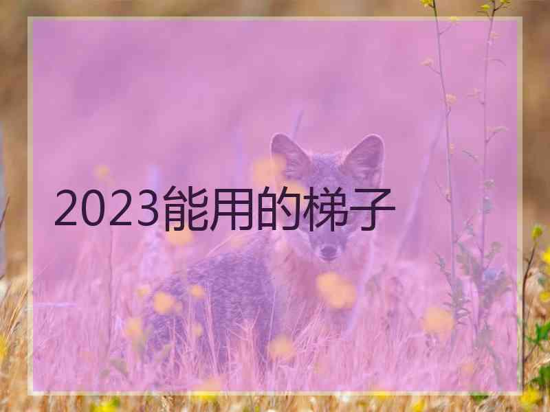 2023能用的梯子